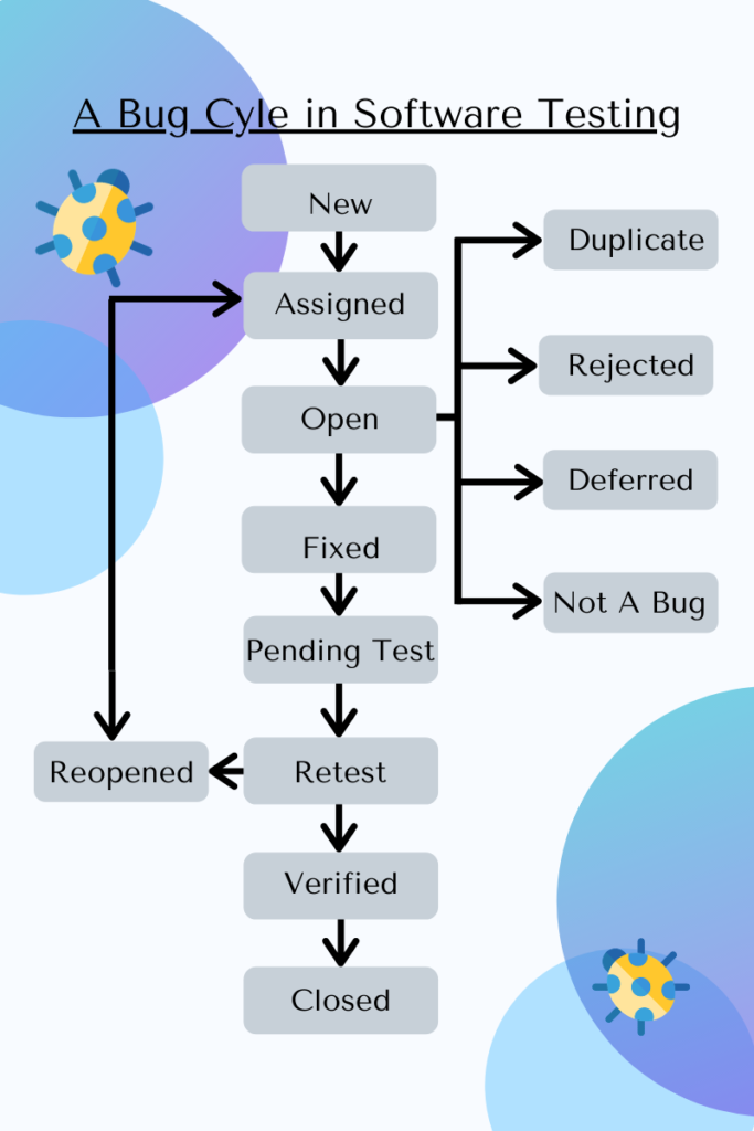 A Bug Cycle in Software Testing- Bug Fixing